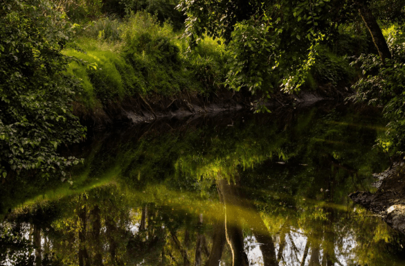 Escobar refuerza su compromiso ambiental con limpieza urbana y&nbsp;reciclaje