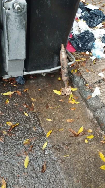 Hallaron un misil de mortero en Balvanera y generó alarma entre los&nbsp;vecinos