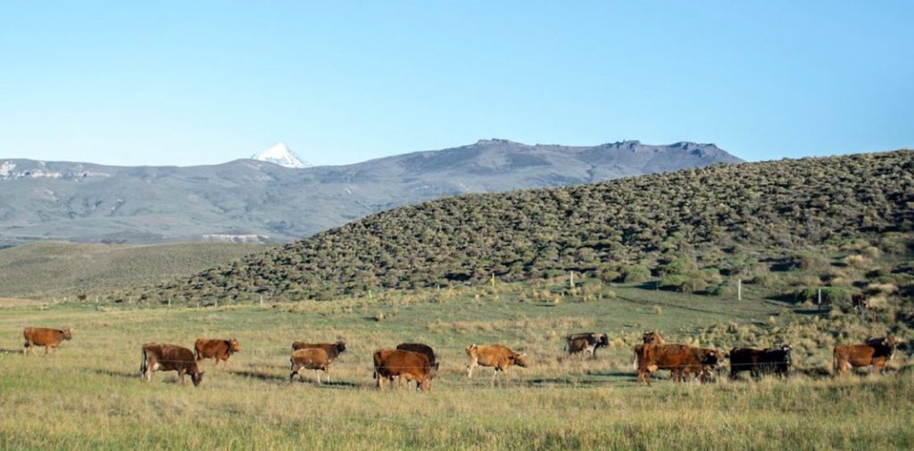 Emergencia por sequía en Neuquén: “En momentos difíciles, la salida siempre es juntos” destacó Rolando&nbsp;Figueroa